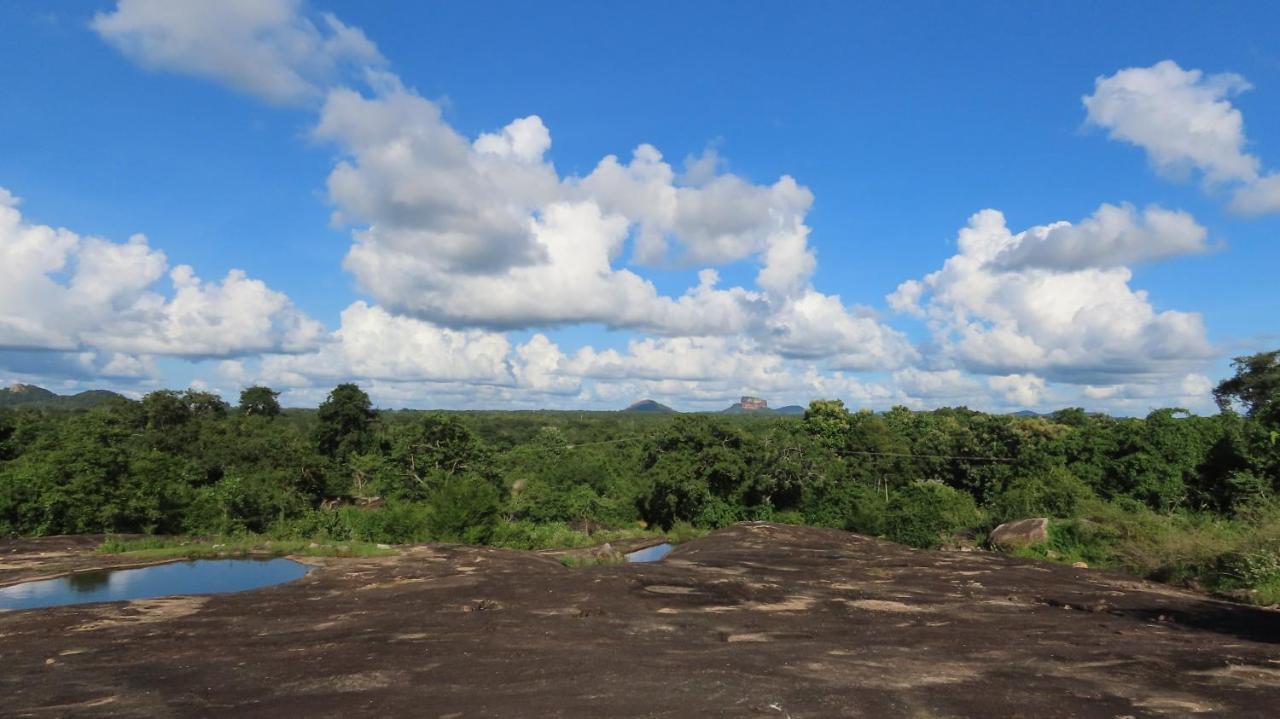 Hotel Into The Wild Sigiriya Exterior foto