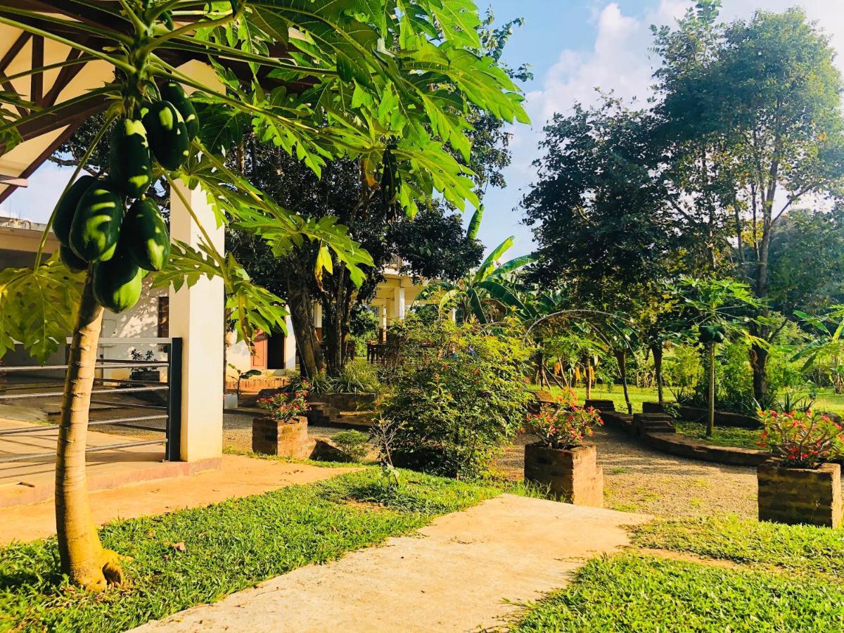 Hotel Into The Wild Sigiriya Exterior foto